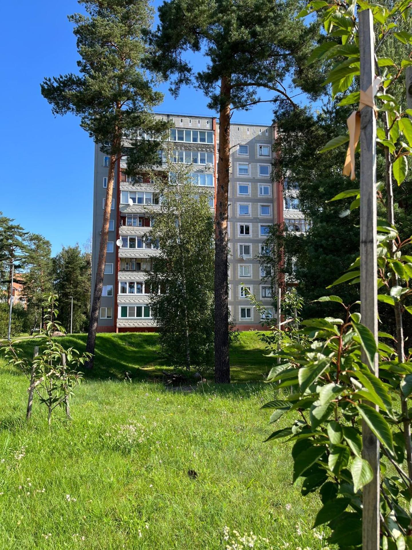 Pine Apartment Visaginas Bagian luar foto